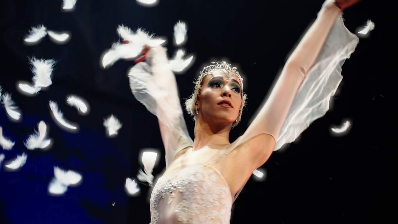 Varna International Ballet Swan Lake Film